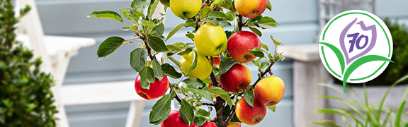 org:/banners product categories/themes/70jaarthemashop.jpg